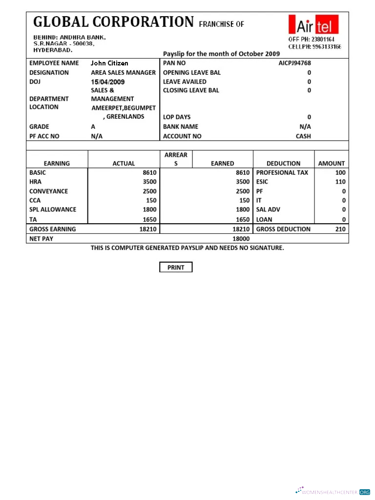 INDIA AIRTEL multinational telecommunications services company payslip in Word and PDF formats